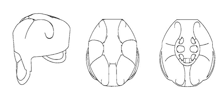 TODAY’S PATENT – ICE HOCKEY HELMET