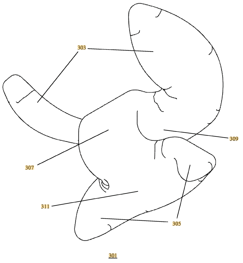 PATENT OF THE WEEK – NECK SUPPORT DEVICE